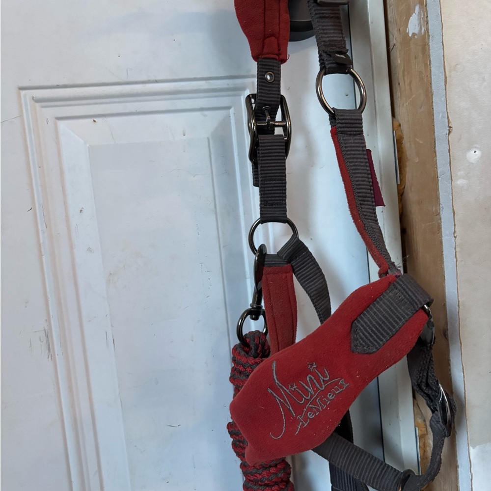 Lemieux Mini Sienna Halter